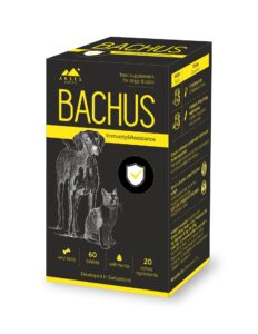 Bachus Immunity&Resistance tab. N60