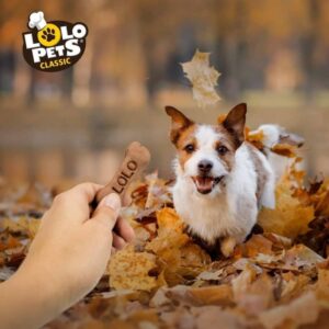 LOLO Pets BAKERY Sausainiai šunims, kauliukai, bananai, M 210 g