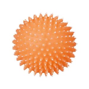 TRIXIE  Kamuolys su spygliais, fosforescuojantis, vinilas, ø 10 cm