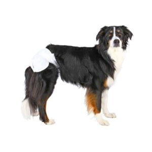 TRIXIE Sauskelnės kalėms, XL 40-58 cm, 12 vnt.