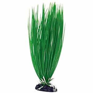 AMTRA ACORUS plastmasinis augalas vidutinis 17cm 1vnt