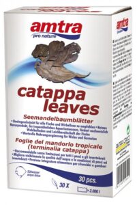 AMTRA CATAPPA lapai 30vnt