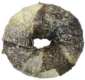 BBQ PARTY DONUT spurga su žuvies oda 9cm 25vnt