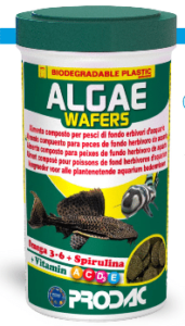 PRODAC ALGAE WAFERS augalinė plokštelė žuvims 100ml 50g