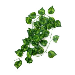 REP NOVA terariumo augalas 230cm