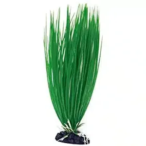 Augalai, dekoracijos