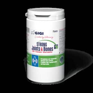 GIGI STRONG Joints & Bones papildas vidutinių ir didelių veislių šunų sąnariams ir kaulams miletliai 500 g
