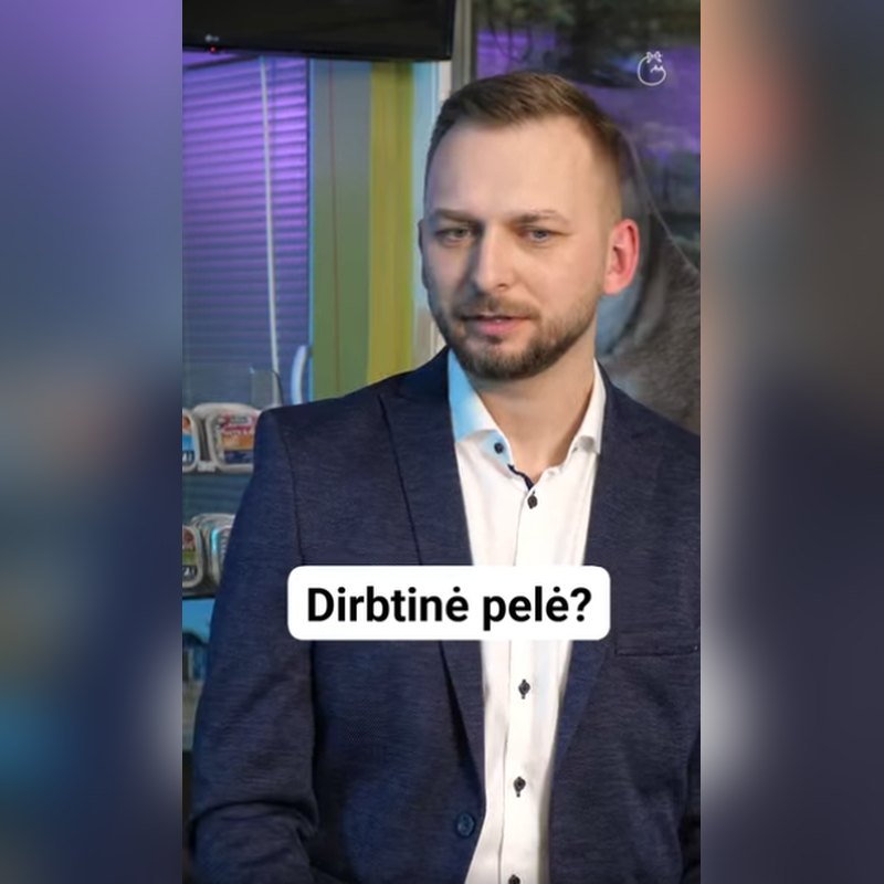 Video: Ar reikia žaisti su katinu?