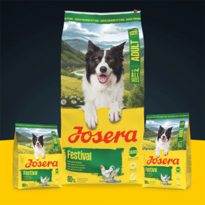 Josera Festival sausas pašaras šunims su lašiša, 900 g – Josera pakuotė – vaizdas 2