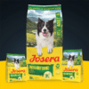 Josera Hypoallergenic begrūdis sausas pašaras jautriems šunims su vabzdžiais, 3 kg – Josera pakuotė – vaizdas 2