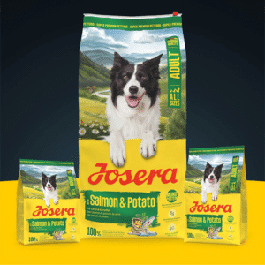 Josera Salmon + Potato A/S begrūdis sausas pašaras šunims su lašiša ir bulvėmis, 900 g – Josera pakuotė – vaizdas 2