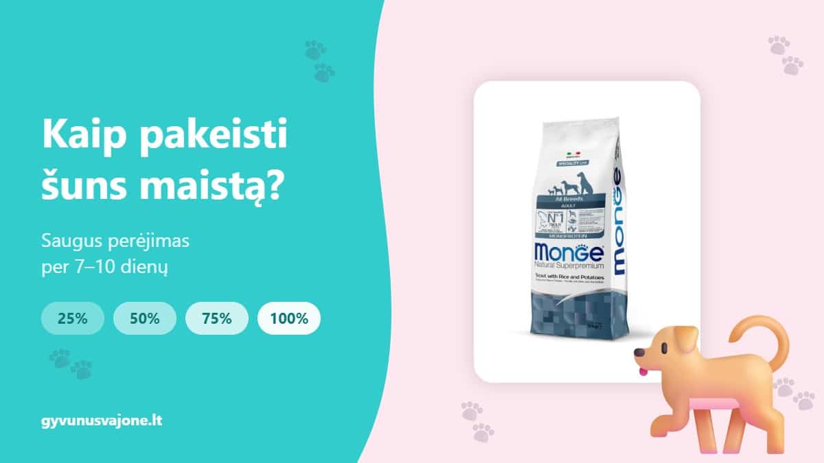 Kaip pakeisti šuns maistą – Monge sauso maisto pakuotė ir šuo, perėjimas 25–100 %