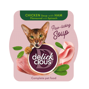 DL-Soup-Chicken-ham-2.png