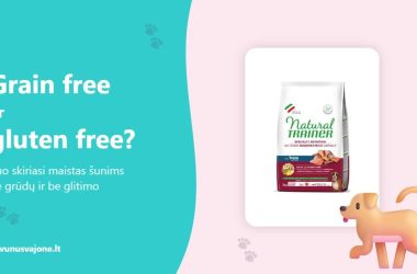Grain free ar gluten free maistas šunims – Natural Trainer No Grain pakuotė ir šuo