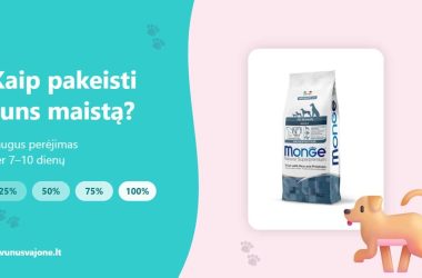 Kaip pakeisti šuns maistą – Monge sauso maisto pakuotė ir šuo, perėjimas 25–100 %