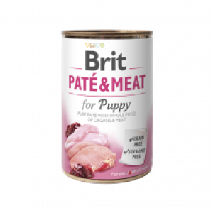 pate-puppy-300x2251-1.png